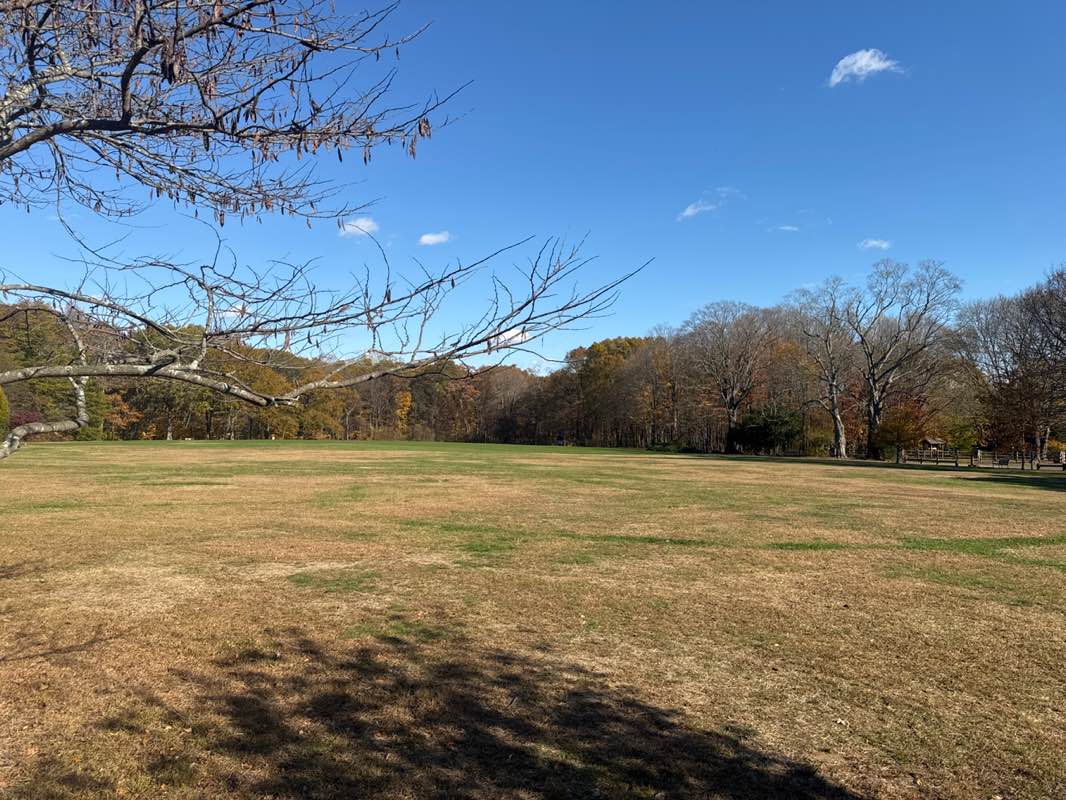 walking near me in Cranbury Park in autumn