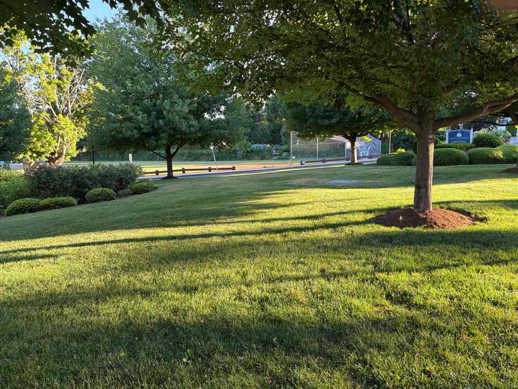 walking near me in Fitch Playground in summer