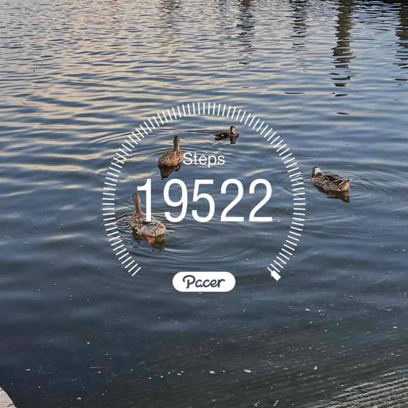 Trudy 👣💕😊☀️🌸🏃‍♀️ post 1