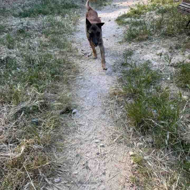 Alex post 1
