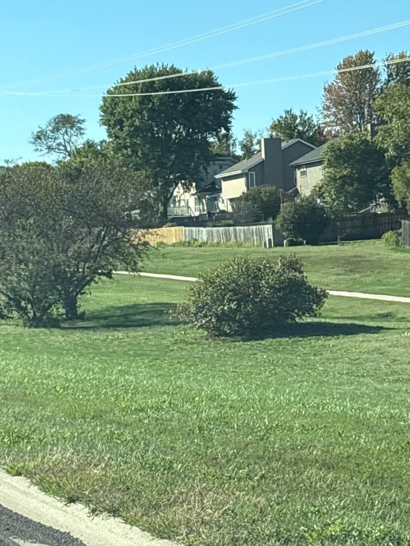 walking near me in Hickory Estates Park in autumn