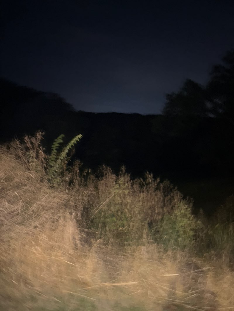 walking near me in Timberline Park in autumn