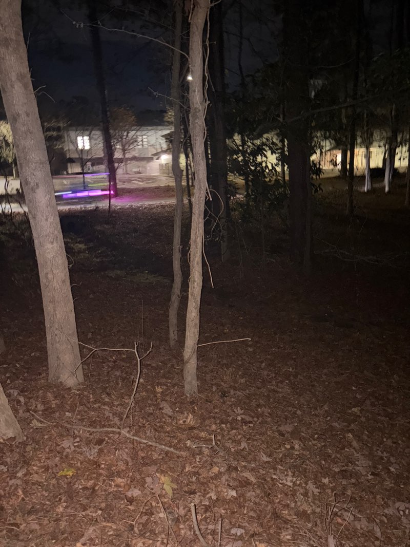 walking near me in Disc Golf Course in autumn