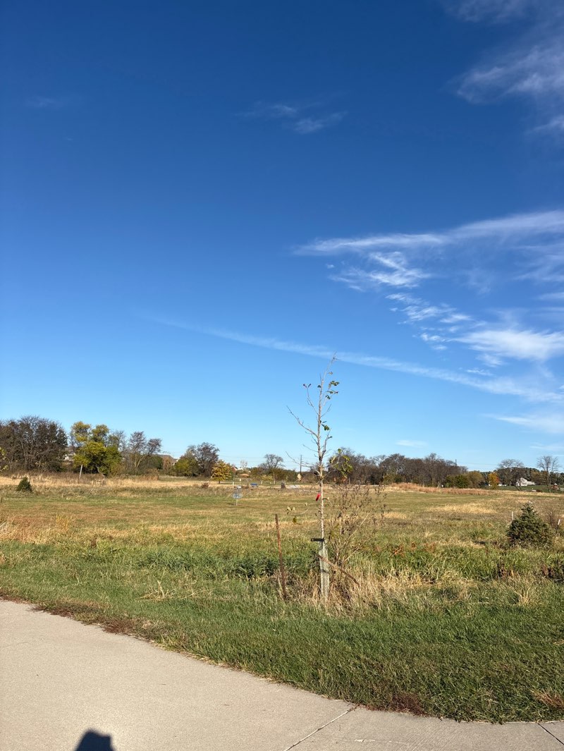 walking near me in Waterford Park in autumn
