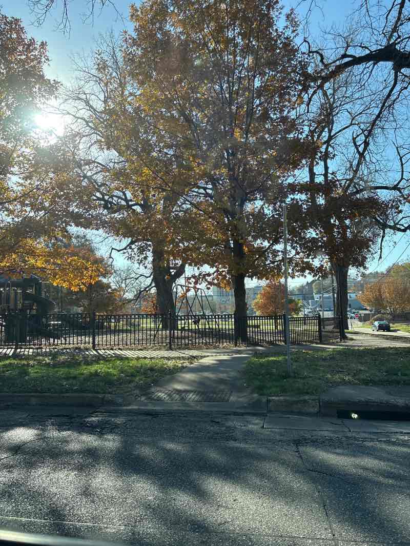 walking near me in Chamberlain Park in autumn