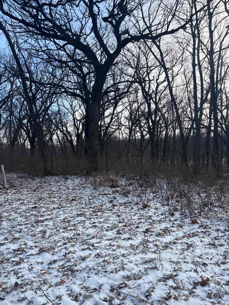 walking near me in Walnut Creek Regional Park in winter