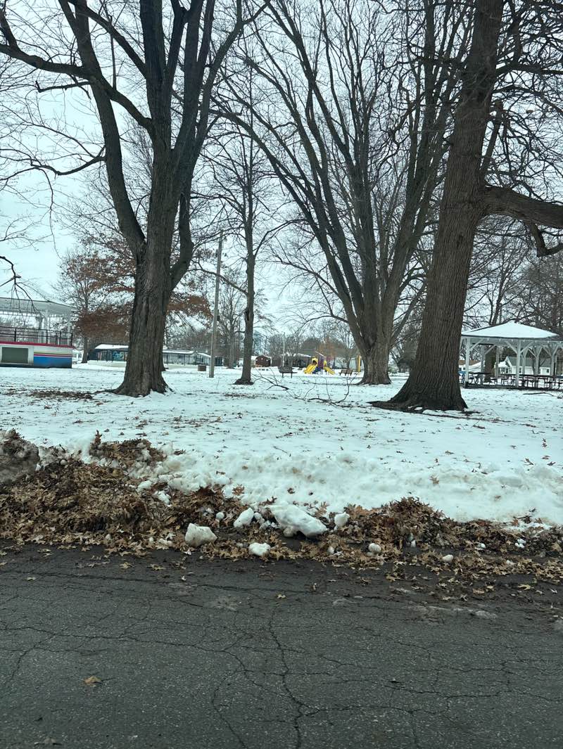 walking near me in Rainbow Park in winter