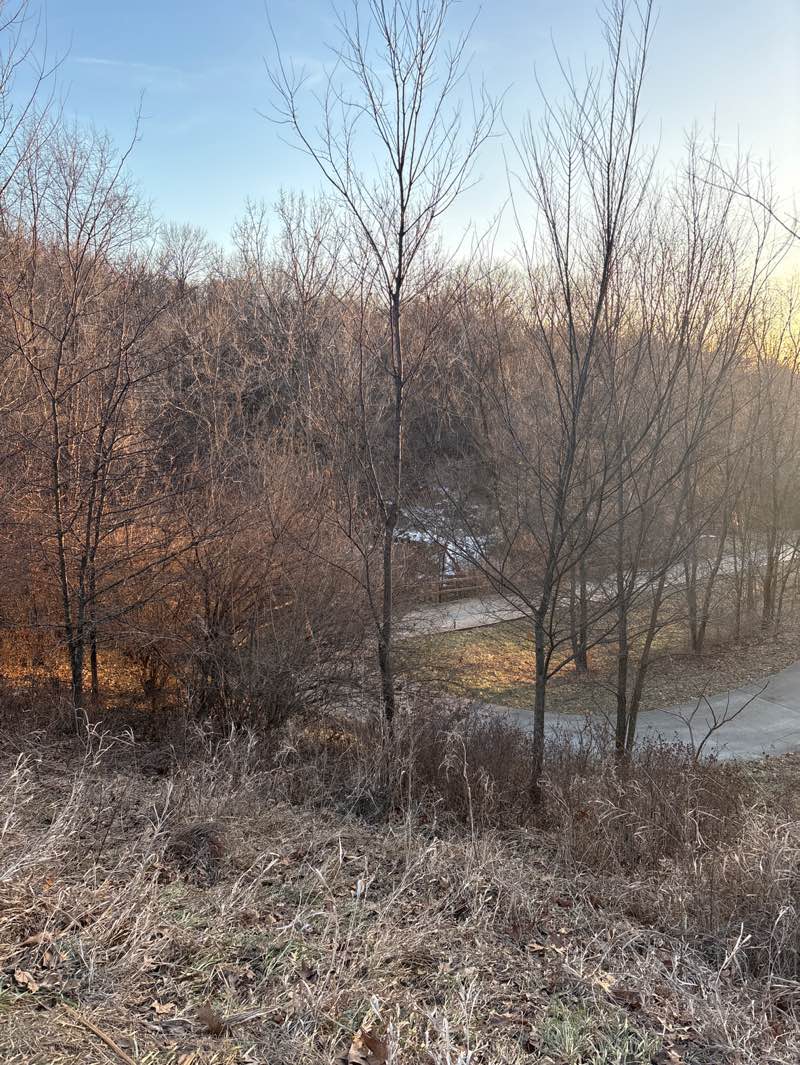 walking near me in Timberline Park in winter