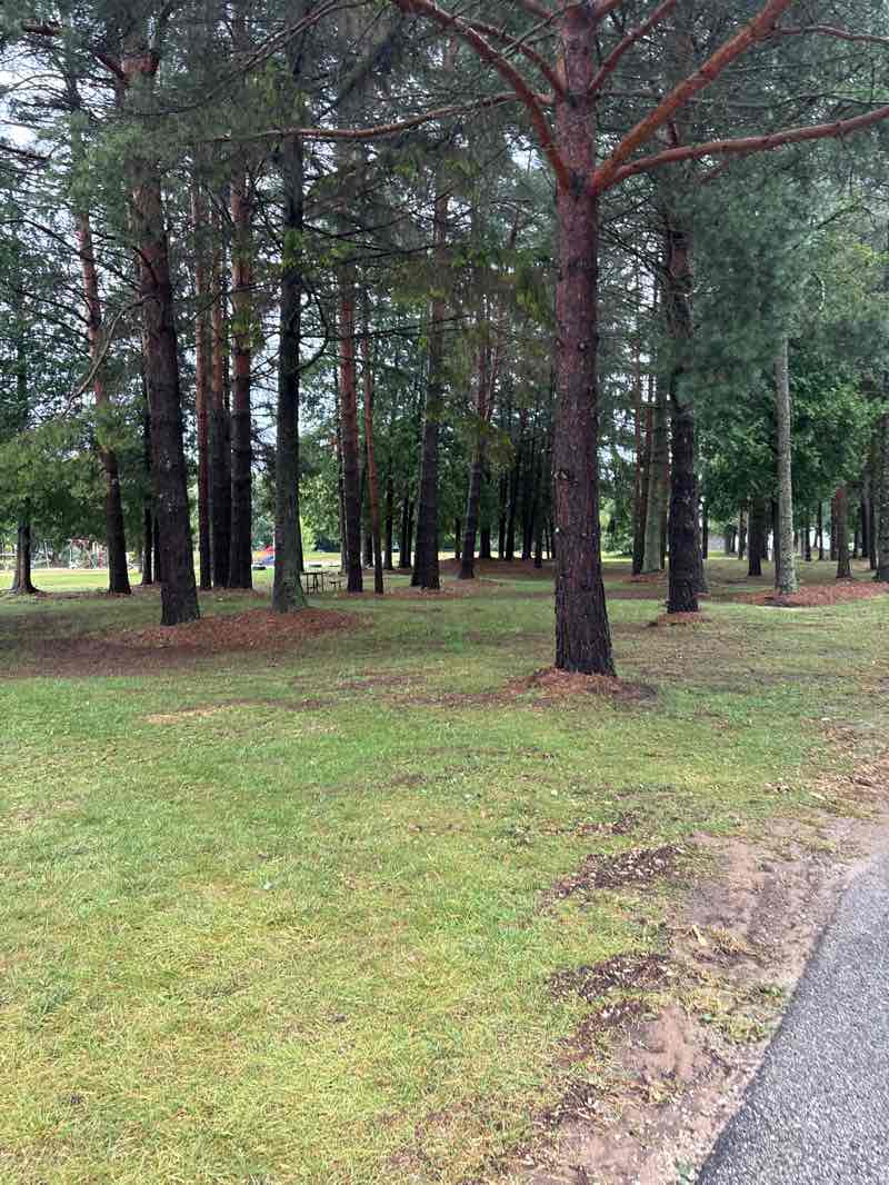 walking near me in Lakeside Park in autumn