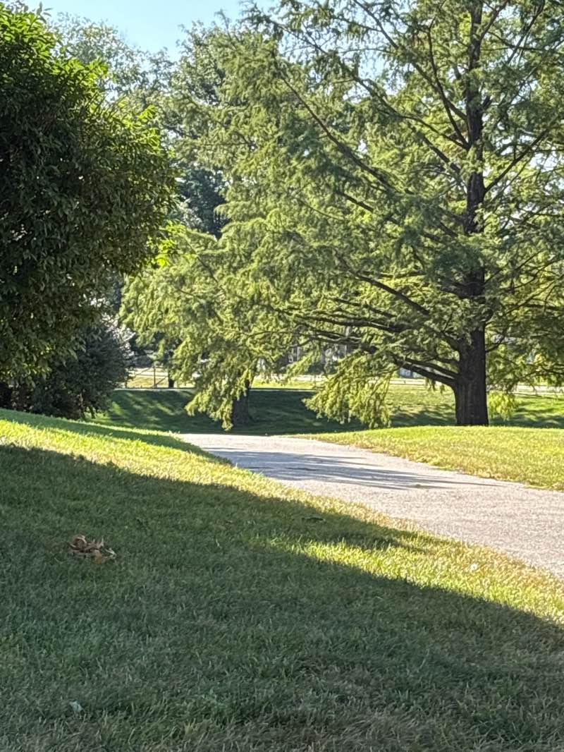 walking near me in Sharon Heights Park in autumn