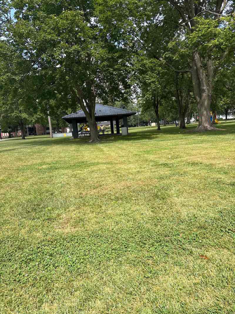 walking near me in Hewitt Park in autumn