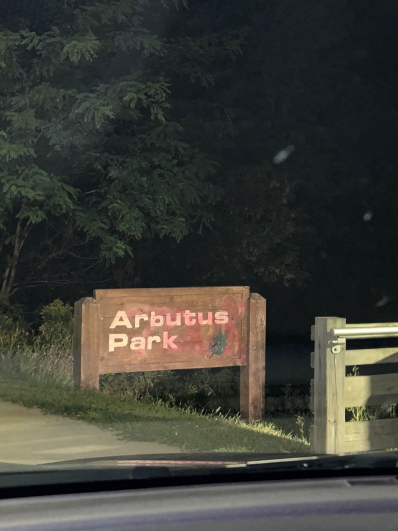 walking near me in Arbutus Park in autumn
