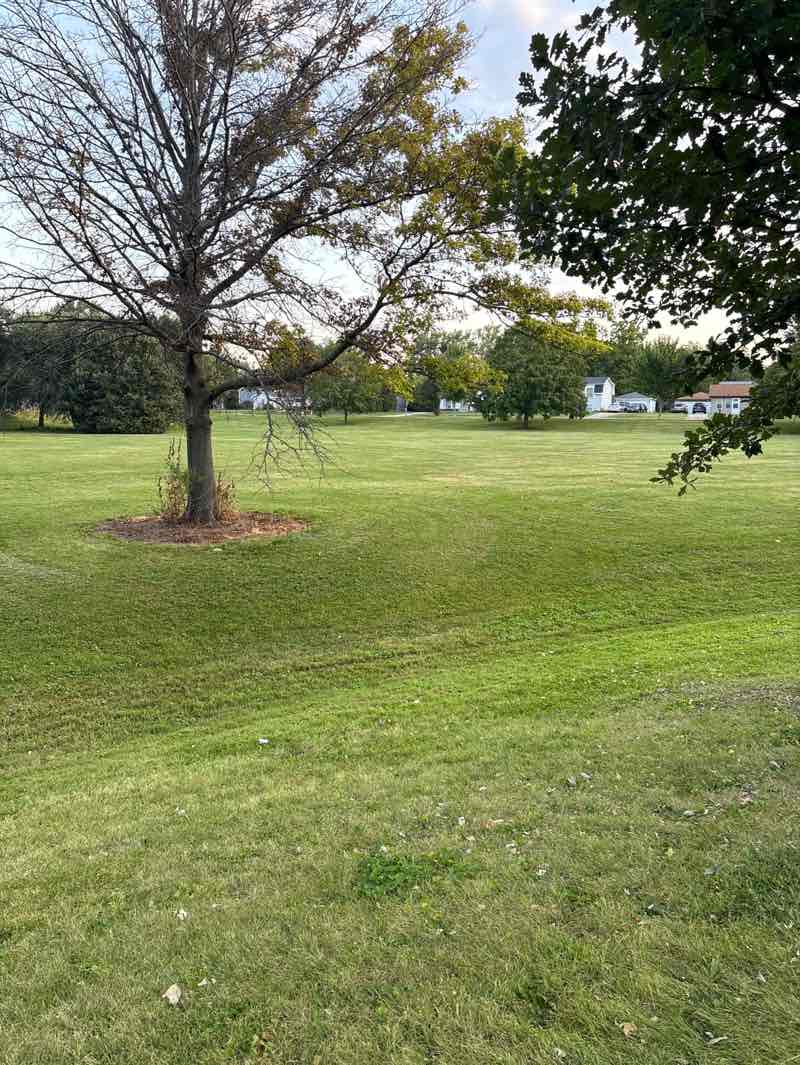 walking near me in Lions Park in autumn