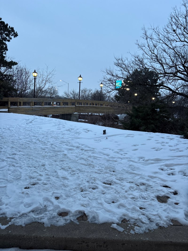 walking near me in Dunne Park in winter