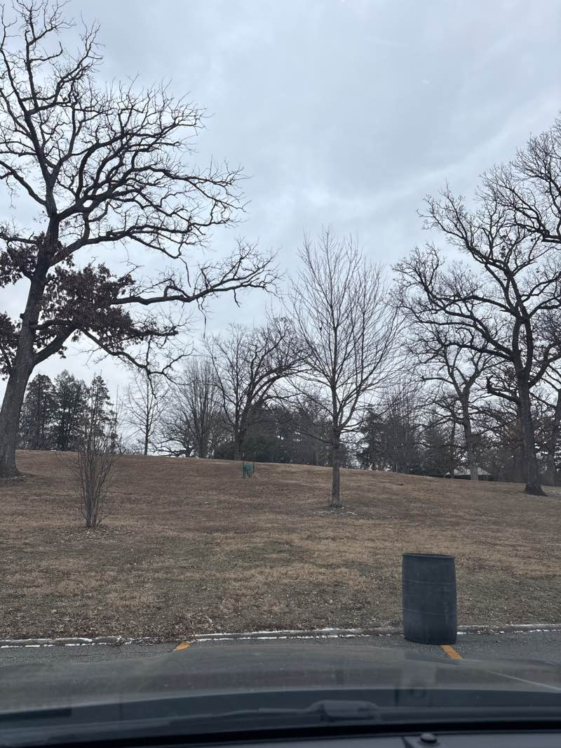 walking near me in Greenwood Park in winter