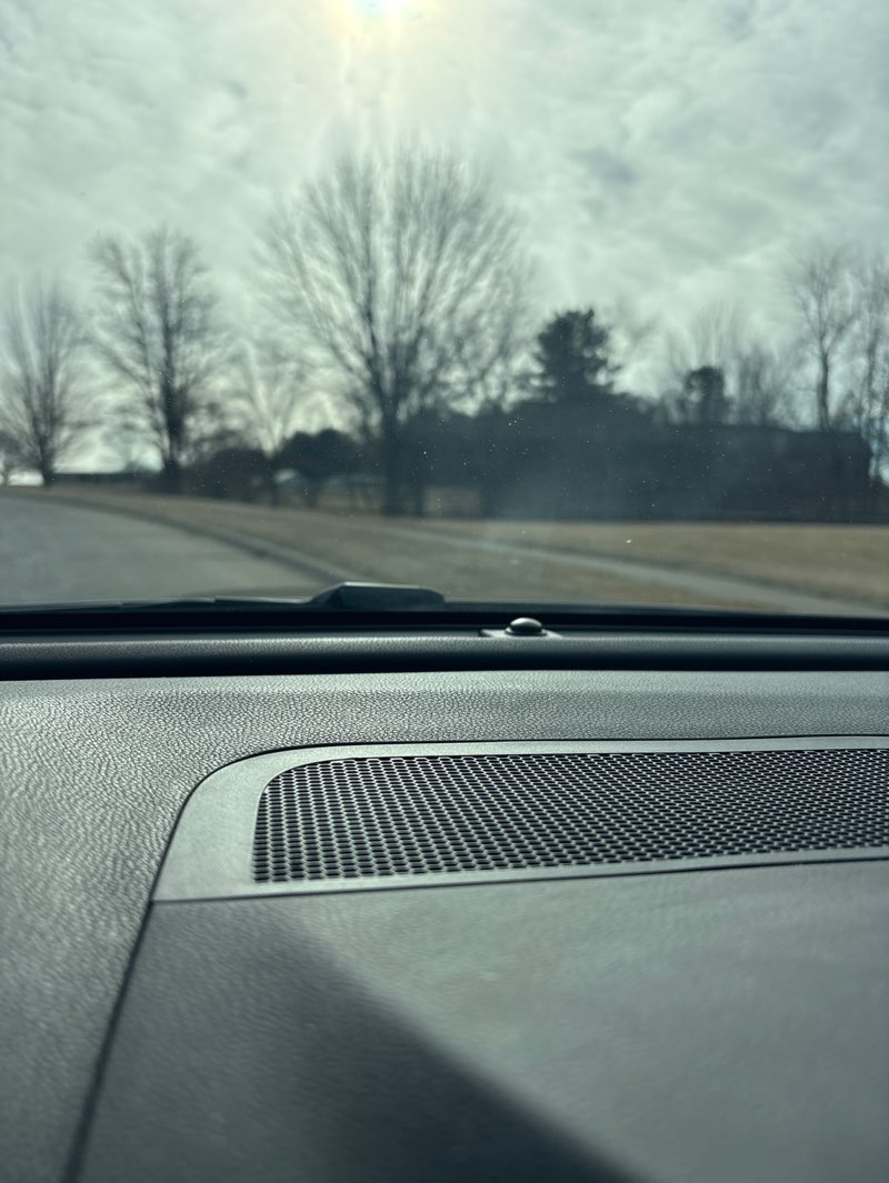 walking near me in Lions Park in winter