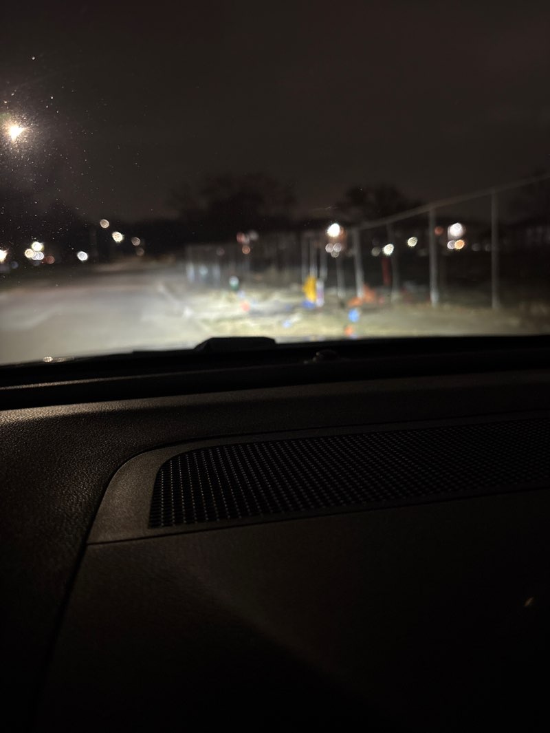 walking near me in Linnan Park in spring