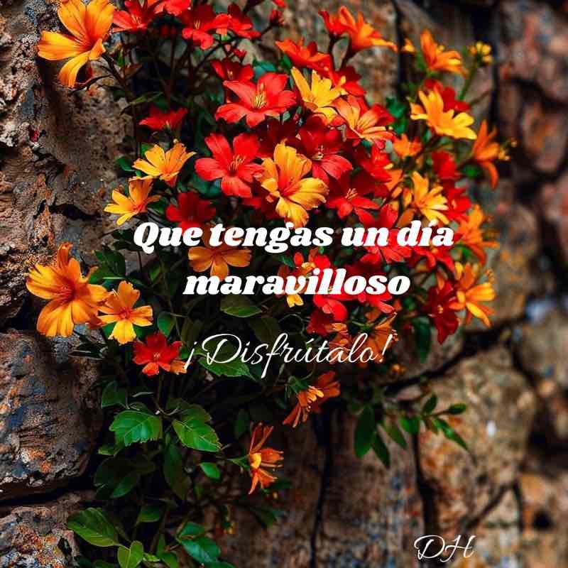 Amigos de Dana Dana 🎧🇪🇸👣🎶🌺🫶🦋🌹 post image