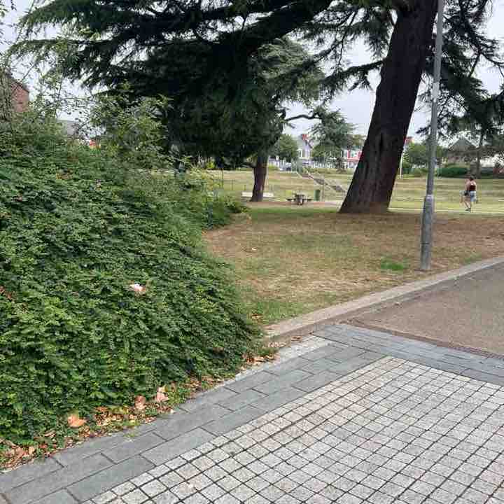 Elvis Pretzel post 1