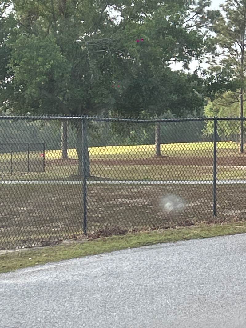 walking near me in Silver Star Community Park in spring