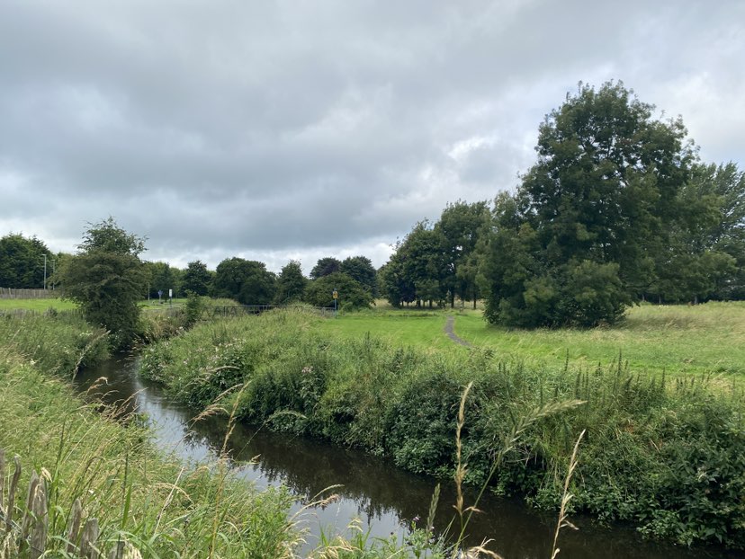 walking near me in Riverside Park in autumn