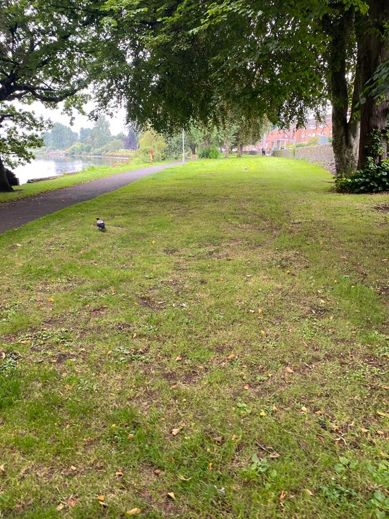 walking near me in Christie Park in autumn