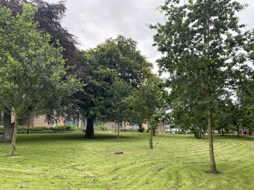 walking near me in Anderson Park in autumn