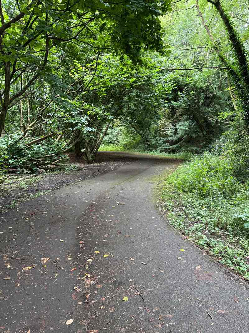 walking near me in Valley Park in autumn