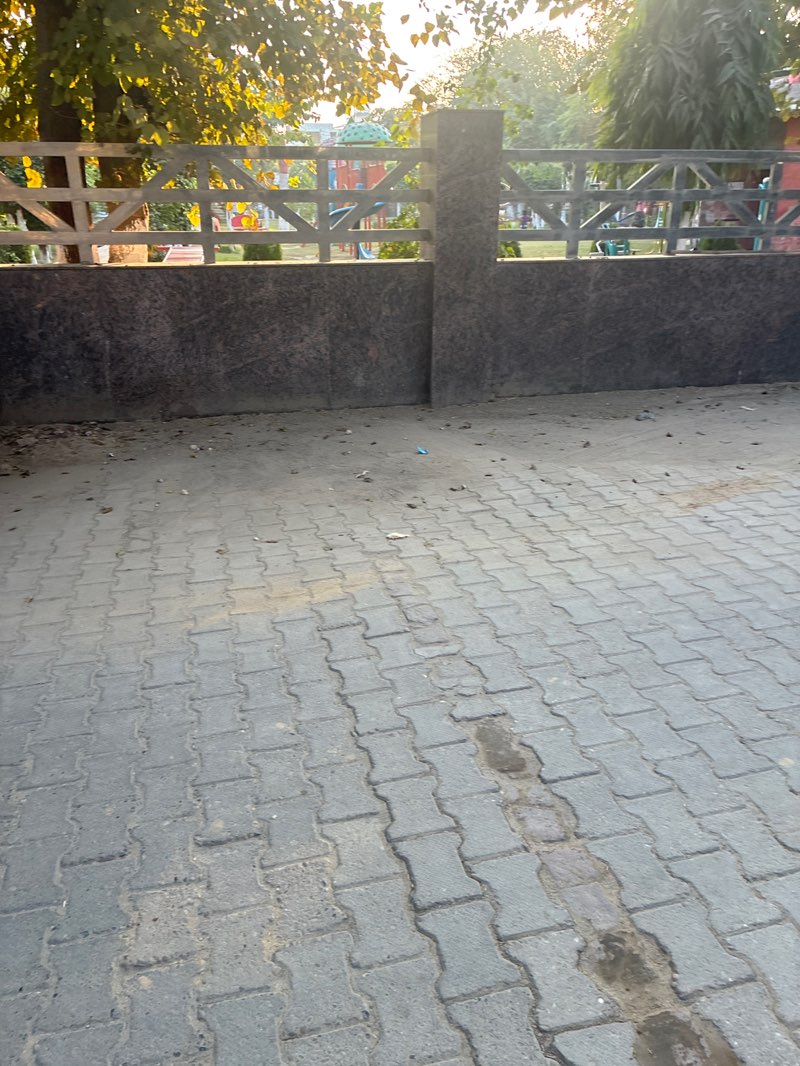 walking near me in Tau Devi Lal Park,Jakhal Mandi in winter