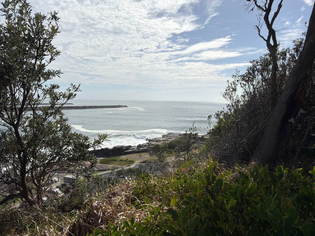 walking near me in Pilot Hill Park in spring