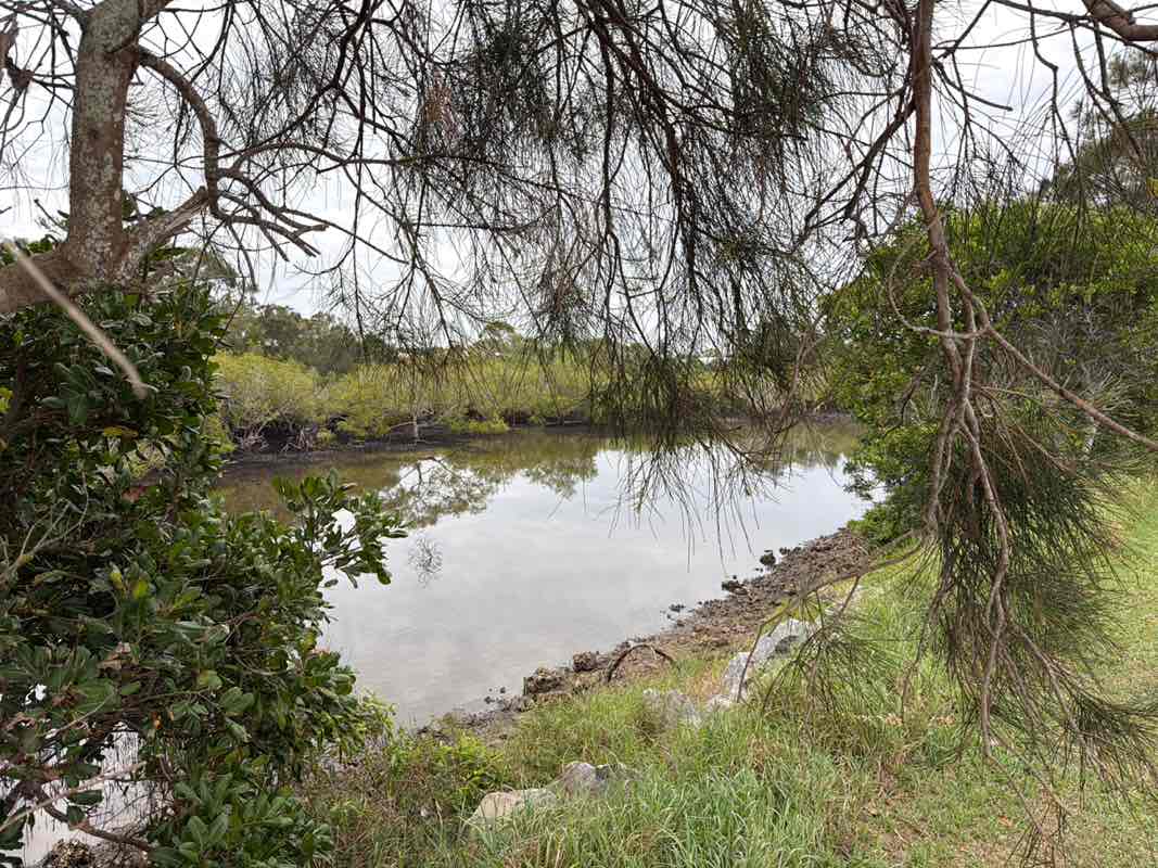 walking near me in Fred Phillips Memorial Park in spring
