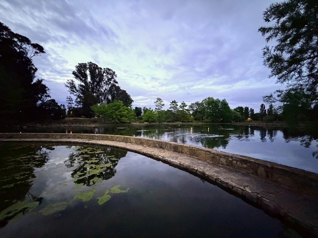 walking near me in Commonwealth Park in spring