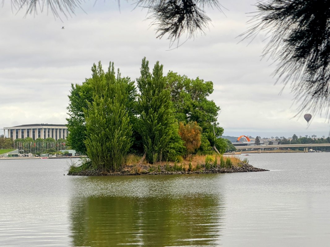 walking near me in Kings Park in summer