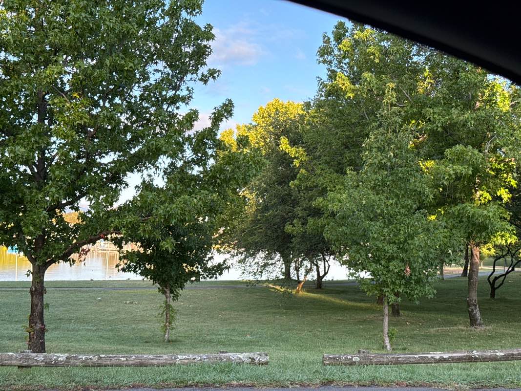 walking near me in Lennox Gardens in summer