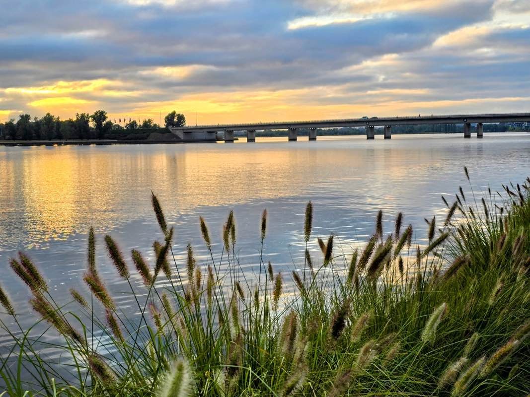 walking near me in Canberra Peace Park in summer