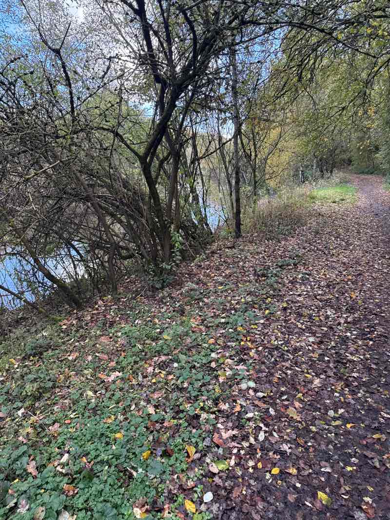 walking near me in Drinkwater Park in autumn