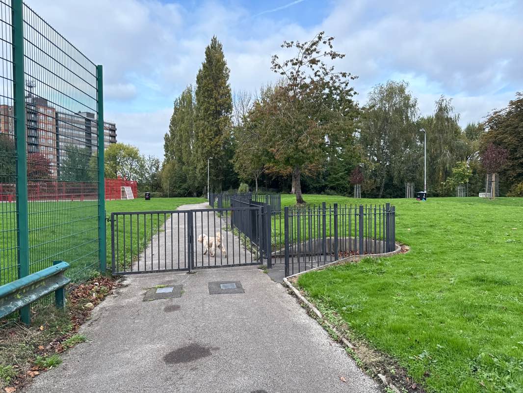 walking near me in Blackfriars Park in autumn