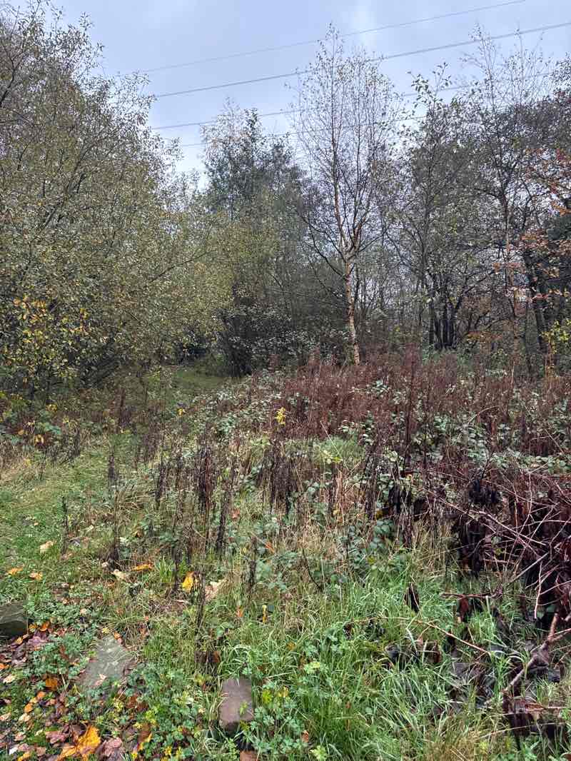 walking near me in Ladyshore in autumn