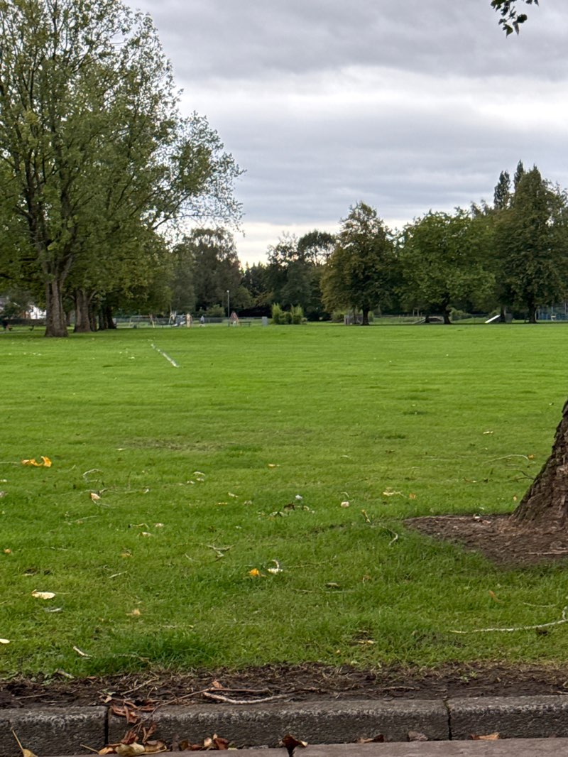 walking near me in Beech Farm in autumn