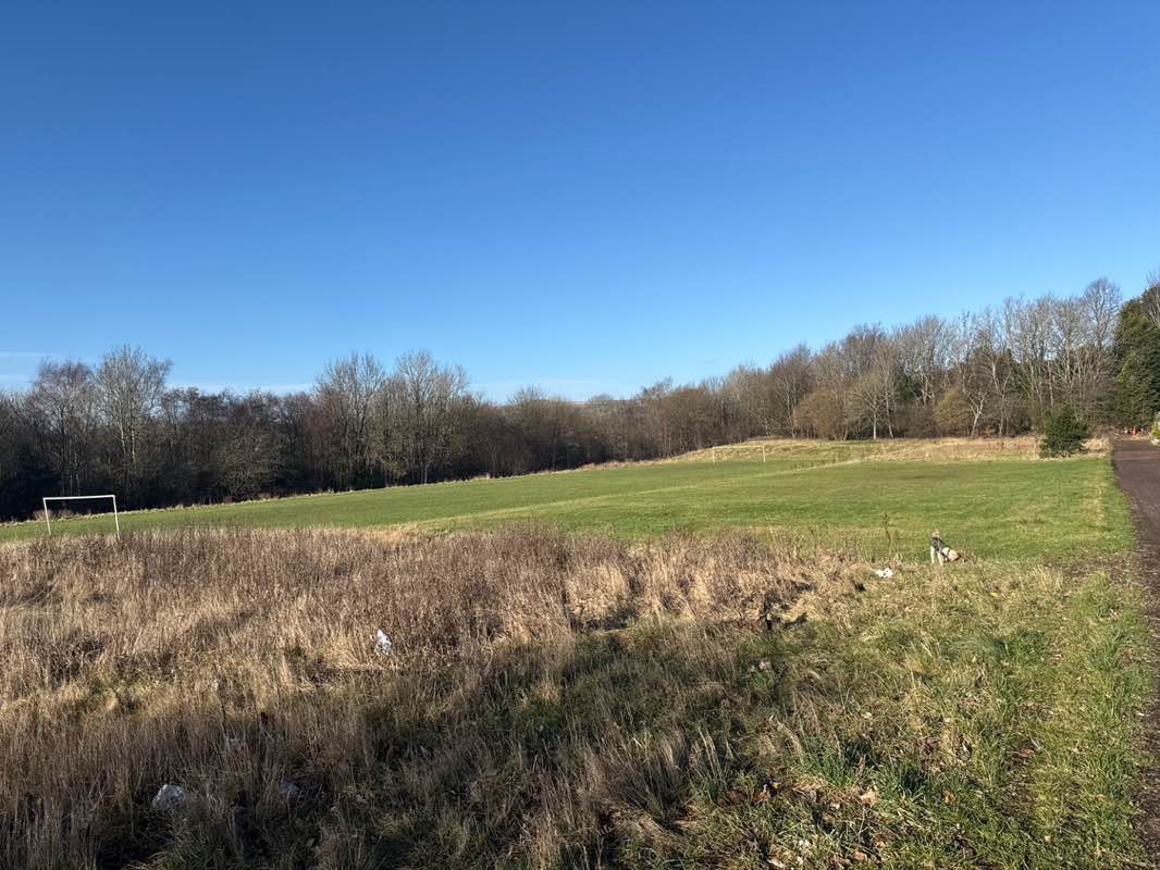 walking near me in Mandale Park in winter
