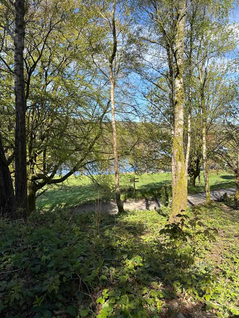 walking near me in Fell Foot in spring