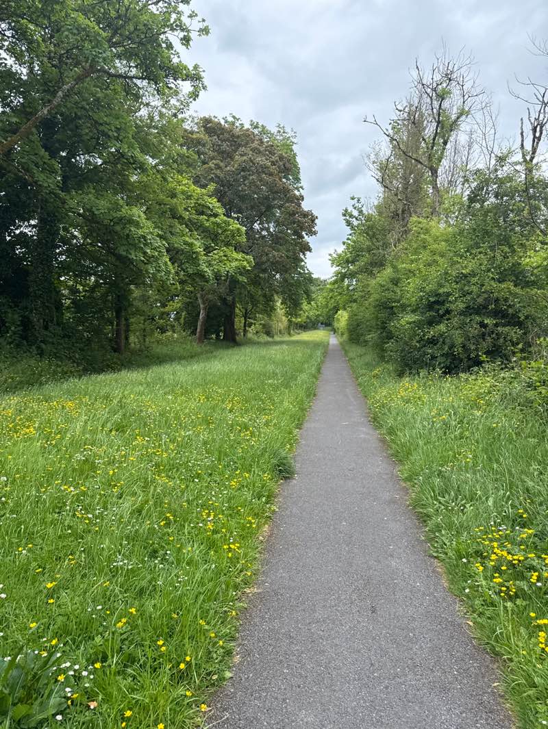 walking near me in The Walks in summer