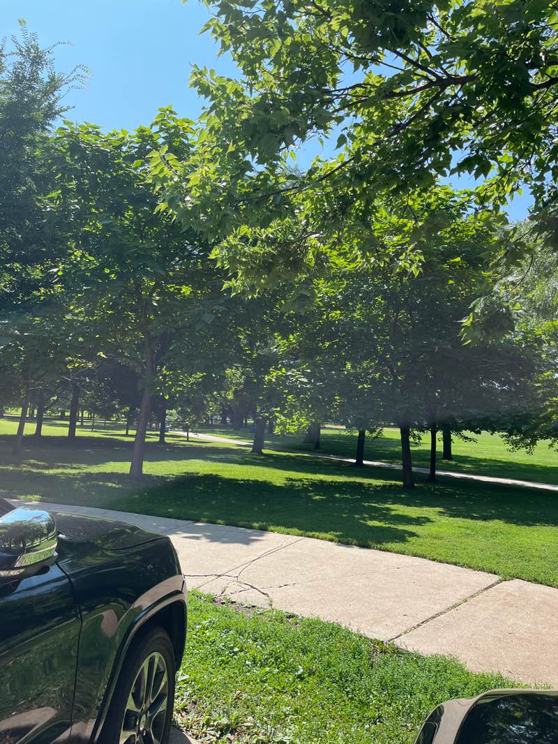 walking near me in McKinley Park in summer