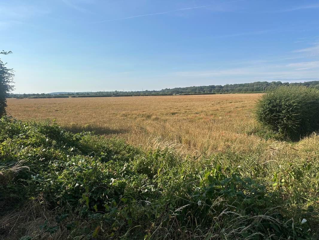 walking near me in Northgate Ponds in summer