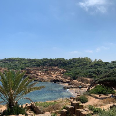 El Vaaz el🇩🇿🇩🇿🇵🇸 post image