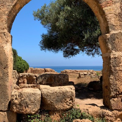 El Vaaz el🇩🇿🇩🇿🇵🇸 post image