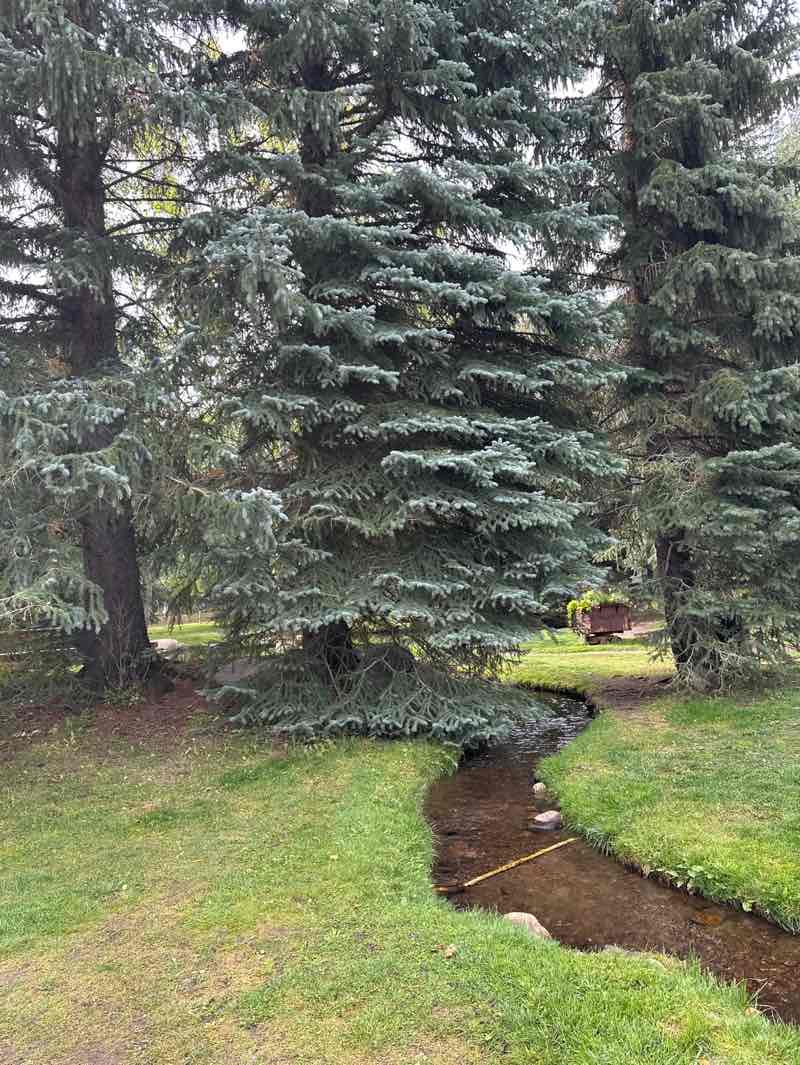 walking near me in Glory Hole Park in autumn