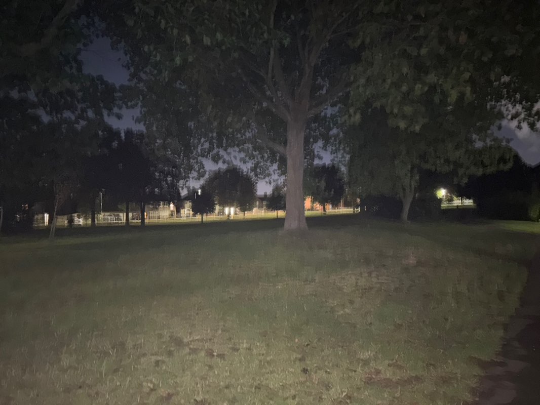 walking near me in Shoulder of Mutton Green in autumn