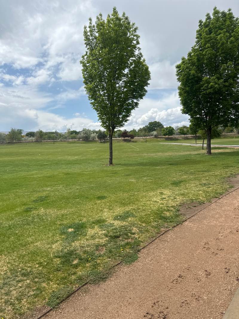walking near me in Long Family Memorial Park in spring
