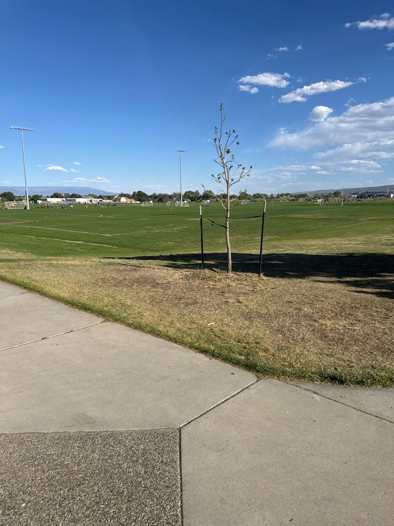 walking near me in Canyon View Park in spring